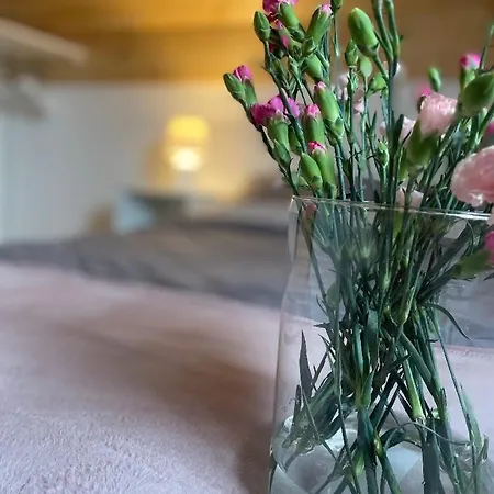 Sielsko Anielsko 펜션 기지크코